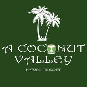 A Coconut Valley Resort